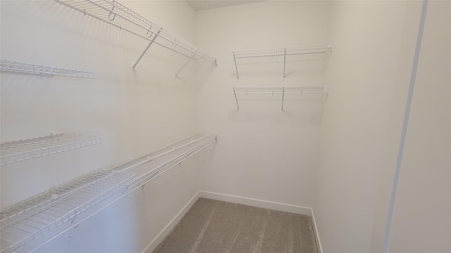 walk in closet with carpet