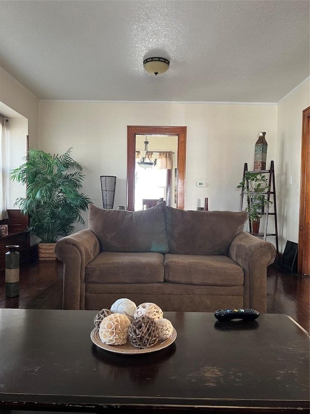 living room featuring a textured ceiling and dark hardwood / wood-style flooring