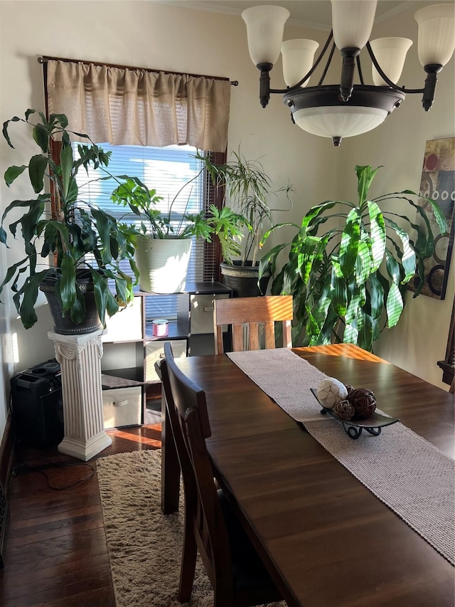 dining room featuring hardwood / wood-style flooring and a notable chandelier