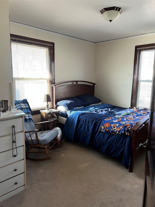 bedroom with carpet flooring