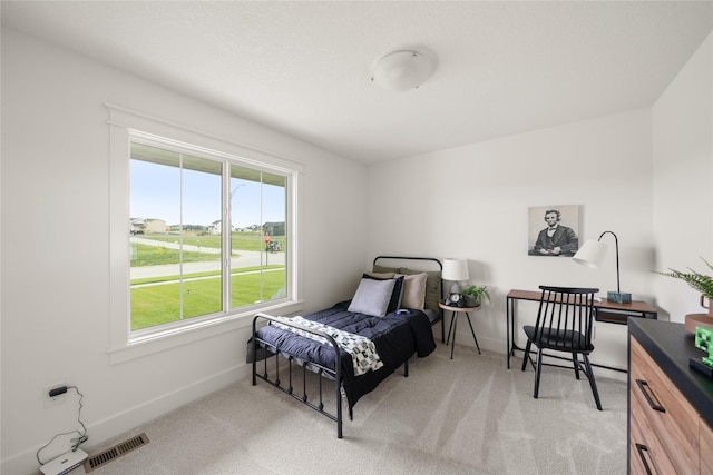 1083 NW 35th St, Grimes, IA 50111 - bedroom with light carpet and baseboards