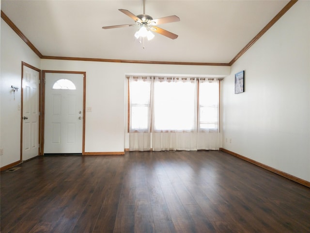 foyer featuring crown molding, ceiling fan, and dark hardwood / wood-style flooring