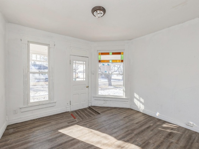 foyer entrance featuring dark hardwood / wood-style floors