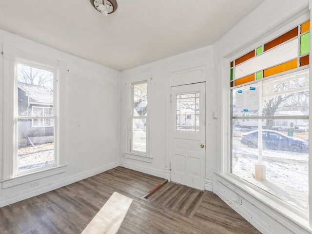 foyer featuring a healthy amount of sunlight and hardwood / wood-style floors