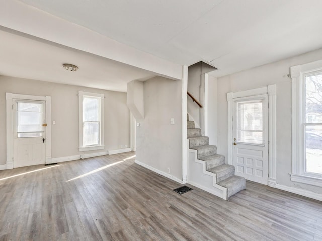 foyer with wood-type flooring and a wealth of natural light