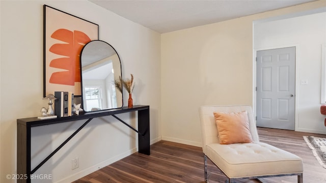 living area featuring dark wood-type flooring