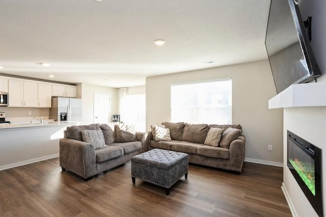 living room with dark hardwood / wood-style flooring