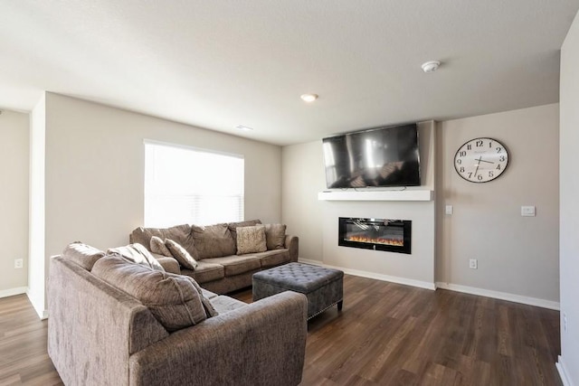 living room featuring wood-type flooring