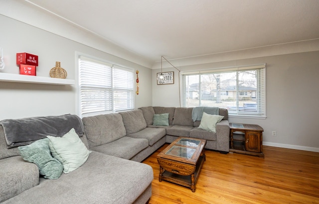 living room featuring hardwood / wood-style floors and plenty of natural light