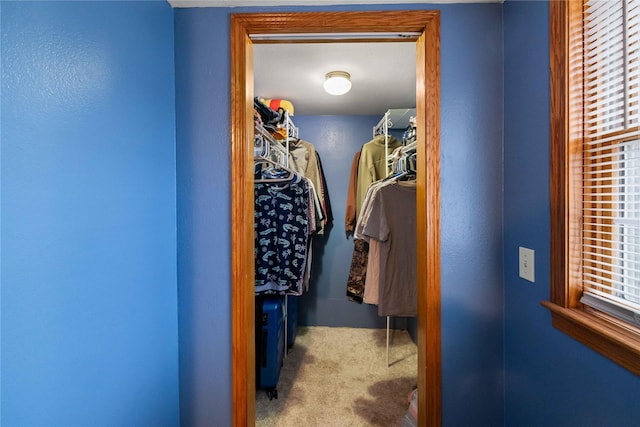 walk in closet featuring carpet floors