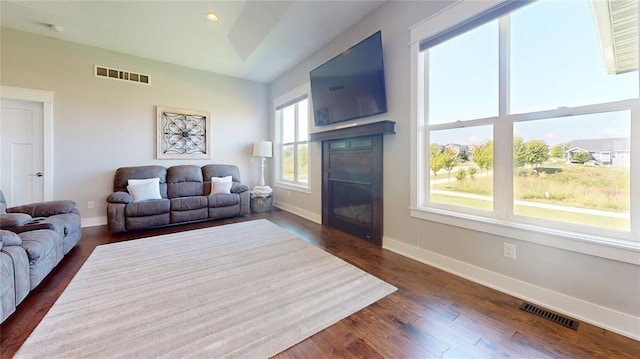 living room featuring dark hardwood / wood-style flooring