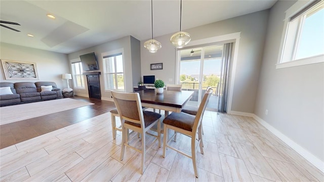 dining space featuring a wealth of natural light, ceiling fan, and light hardwood / wood-style flooring