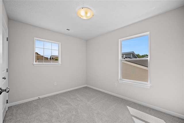 carpeted empty room with plenty of natural light and a textured ceiling