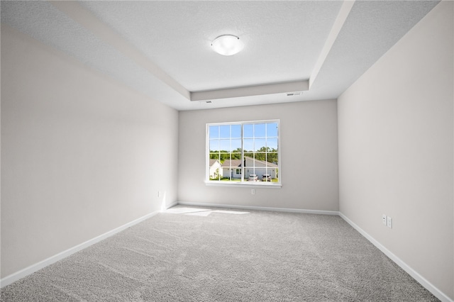 carpeted empty room featuring a raised ceiling and a textured ceiling