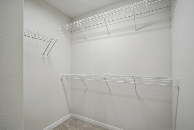 walk in closet with carpet flooring