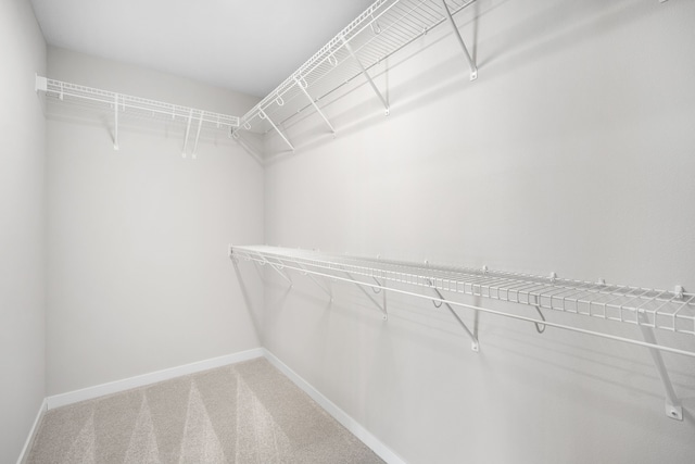 walk in closet featuring carpet flooring