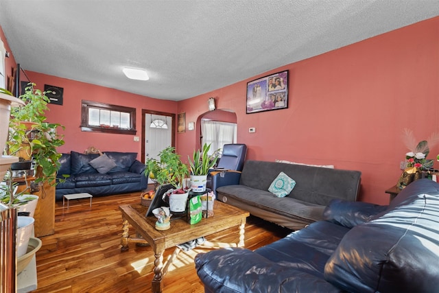 living room with a textured ceiling, wood-type flooring, and a healthy amount of sunlight