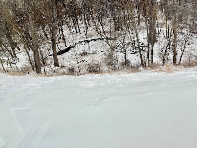 view of snowy yard