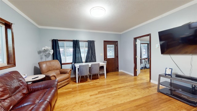 living room featuring crown molding, light hardwood / wood-style floors, and a textured ceiling