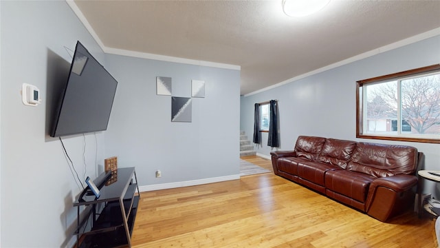 living room with hardwood / wood-style floors, crown molding, and plenty of natural light