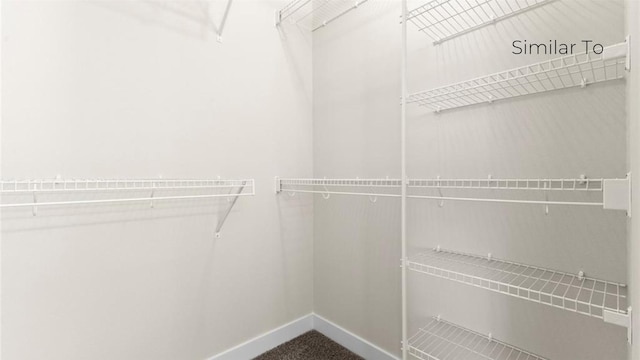 spacious closet with dark colored carpet