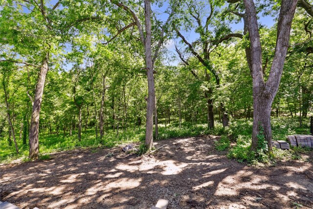 10430 Thorne Dr, West Des Moines, IA 50266 - view of undeveloped land