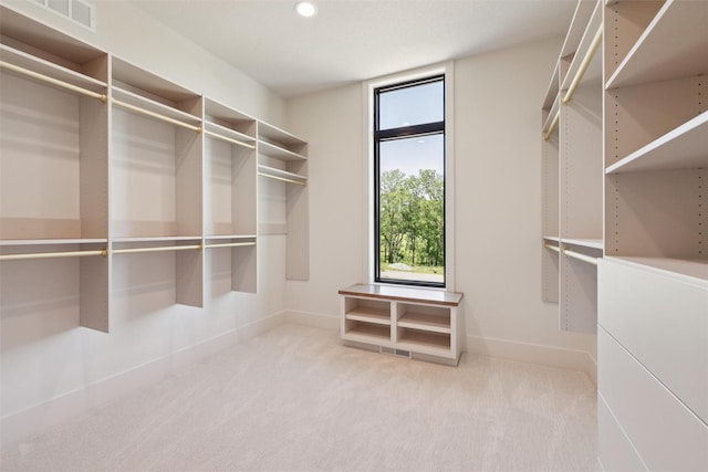 10430 Thorne Dr, West Des Moines, IA 50266 - spacious closet featuring carpet floors