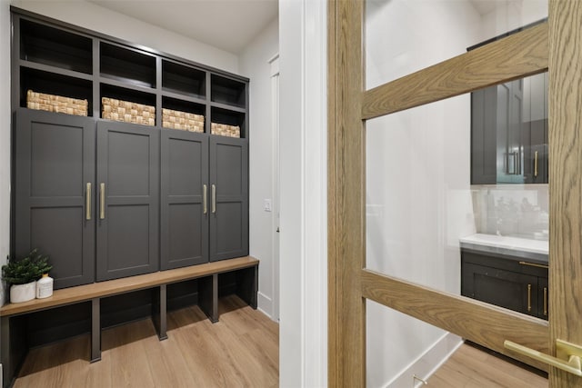 10430 Thorne Dr, West Des Moines, IA 50266 - mudroom with light wood-style flooring