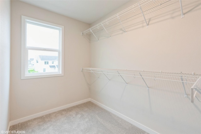 spacious closet with carpet flooring