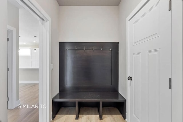 mudroom with light wood-type flooring