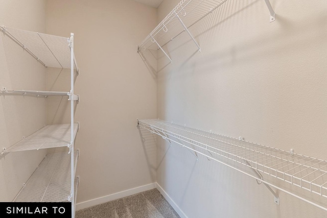 walk in closet featuring carpet flooring