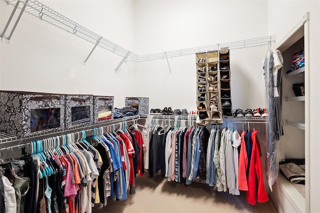 14102 Ridgemont Dr, Urbandale, IA 50323 - spacious closet featuring carpet