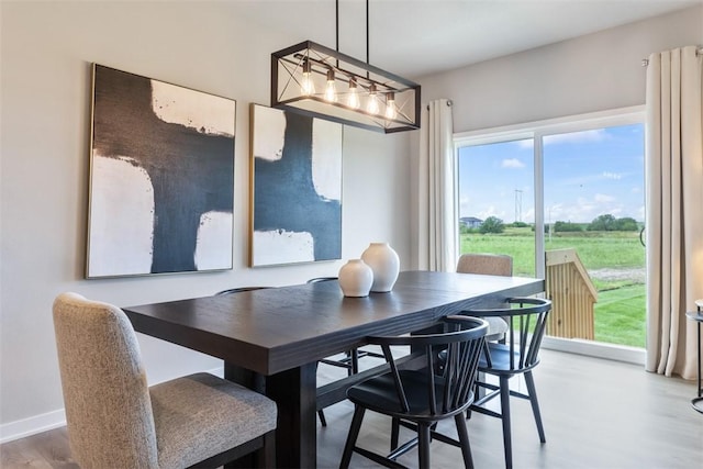 dining area featuring plenty of natural light and wood-type flooring