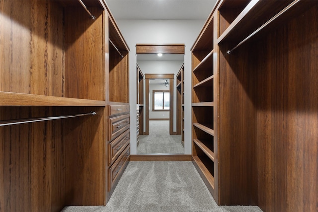 walk in closet featuring light colored carpet