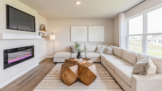 living room featuring hardwood / wood-style floors