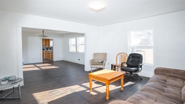 living room with dark wood-type flooring