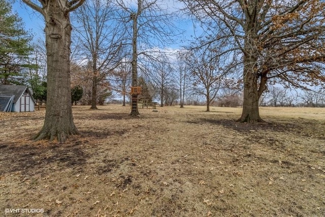 view of yard with a storage unit