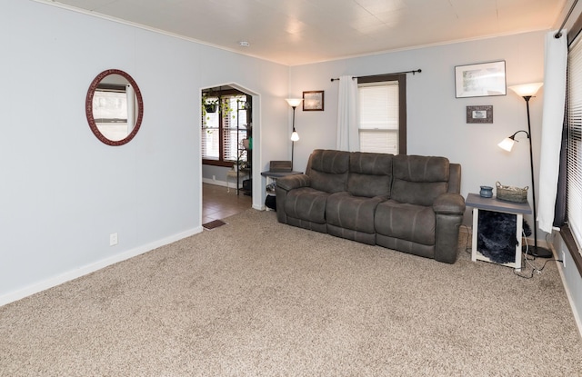 living room with crown molding and carpet flooring