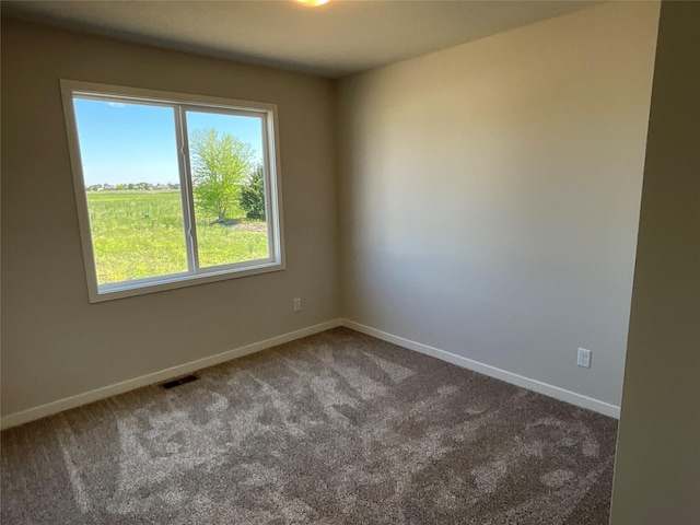 3423 5th Ave SE, Altoona, IA 50009 - unfurnished room with carpet and baseboards