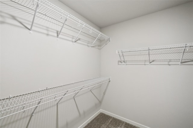 3423 5th Ave SE, Altoona, IA 50009 - walk in closet with dark carpet