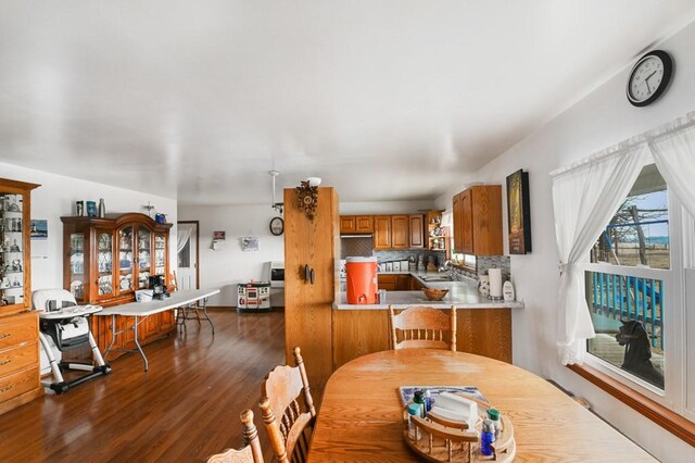 dining space featuring sink and dark hardwood / wood-style flooring