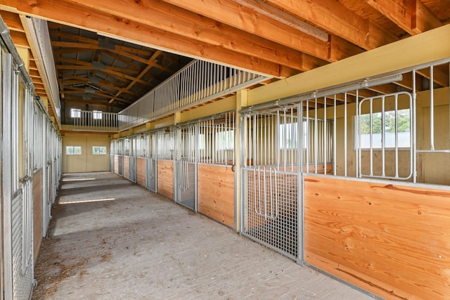 2466 655th Ave, Albia, IA 52531 - view of horse barn