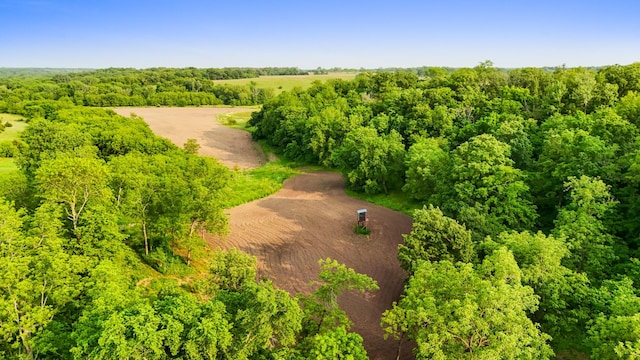 2466 655th Ave, Albia, IA 52531 - drone / aerial view of a forest