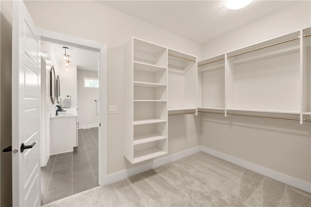 walk in closet featuring carpet flooring and sink