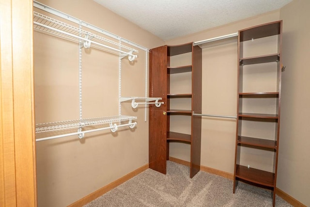 walk in closet with carpet floors