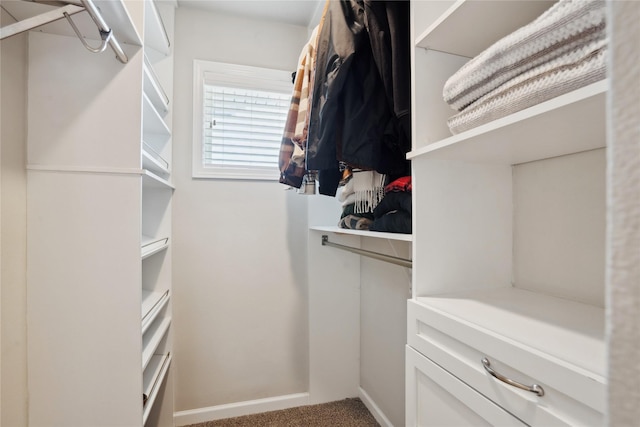 walk in closet with carpet