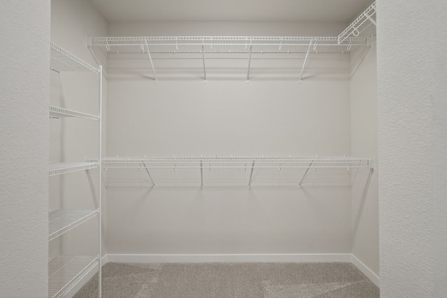 1835 Tuscany Dr SE, Altoona, IA 50009 - spacious closet featuring carpet floors