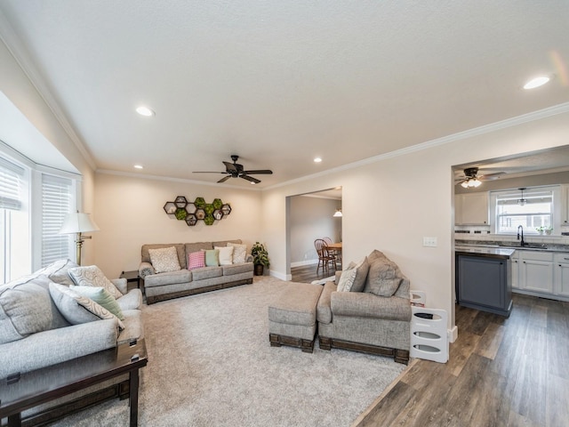 living room with hardwood / wood-style flooring, ornamental molding, and sink