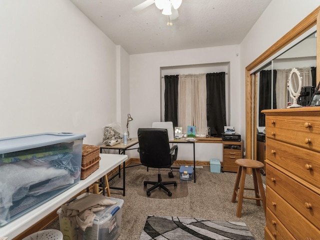 view of carpeted home office