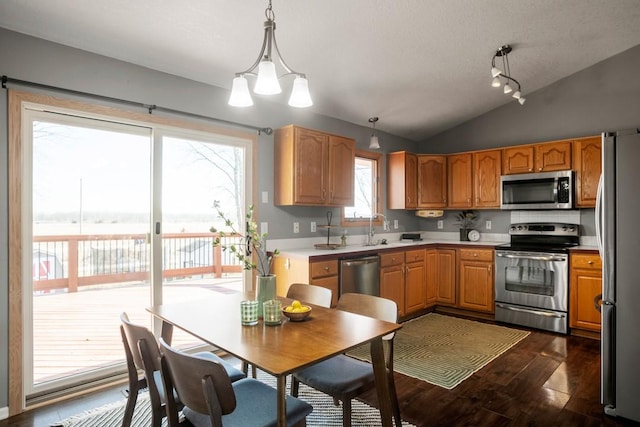 kitchen featuring vaulted ceiling, pendant lighting, sink, dark hardwood / wood-style flooring, and stainless steel appliances